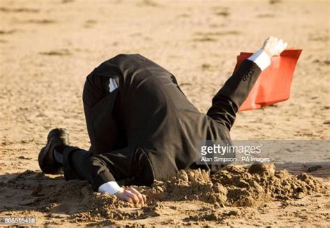 Bury Your Head In The Sand Photos And Premium High Res Pictures Getty