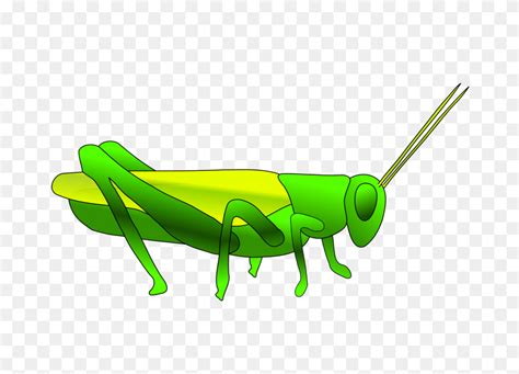 Insect Clipart Green Grass Background Green Grass Png Stunning Free