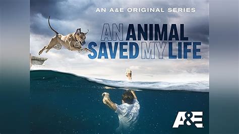 Watch An Animal Saved My Life Season 1 Prime Video