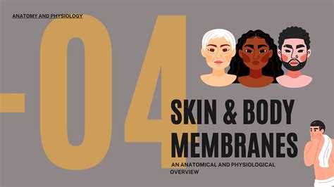 Chapter 4 Skin And Body Membranes Youtube