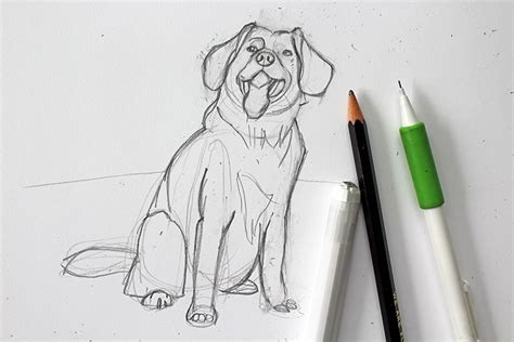 Aprende Cómo Dibujar Un Perro En Cinco Sencillos Pasos