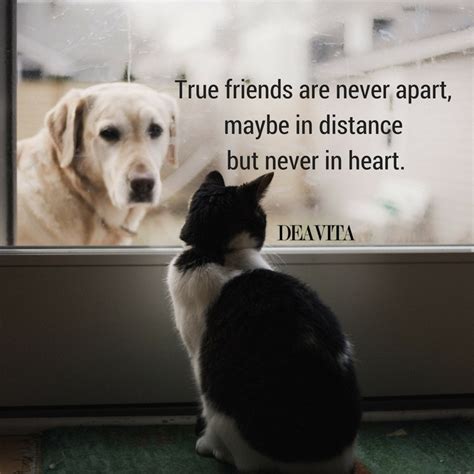 120 friendship quotes your best friend will love. 60 Friendship quotes with great photos to share with your ...