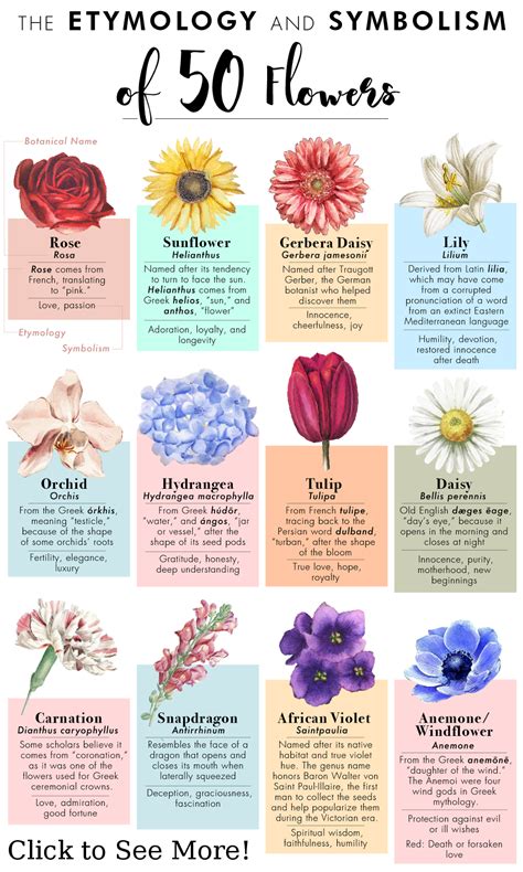 The Etyomology And Symbolism Of Flowers Etyomology Flowers