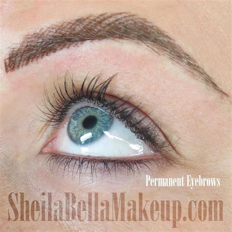 Beautiful Permanent Brows Created By Sheila Bella Permanent Makeup
