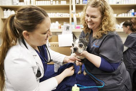 Petco and Nationwide Partner to Add Data to Pet Healthcare Offerings