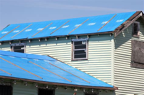 Most home insurance providers will cover the cost of repairs if roof leaks are due to a sudden, unexpected event, like storm damage or a falling tree. How To Make A Temporary Roof If Yours Gets Damaged By A ...
