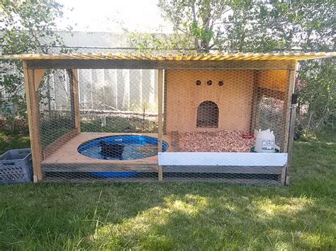 You will have your own fresh source of healthy, organic eggs and best flooring for chickens do's and don'ts/whys?, hello. A Duck House | Home Design, Garden & Architecture Blog ...