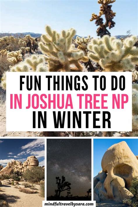 Joshua Tree In Winter The Ultimate Guide Tips