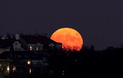 Moon cactus, also known as gymnocalycium mihanovichii or hibotan cactus, is native to south american deserts in places like brazil and the lighting factor can be tricky since the top part is sensitive to light, while the host cactus still requires it. The Best Photos From All Around The World Of The Biggest ...