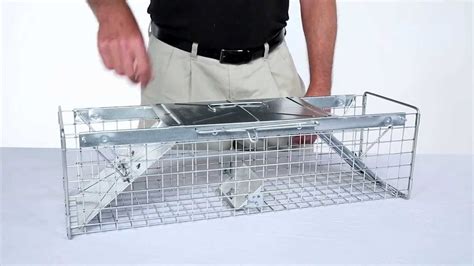 How To Set Havahart Medium 2 Door Trap Model 1030 For Mink Large