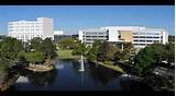Mayo Clinic Florida Jobs Images