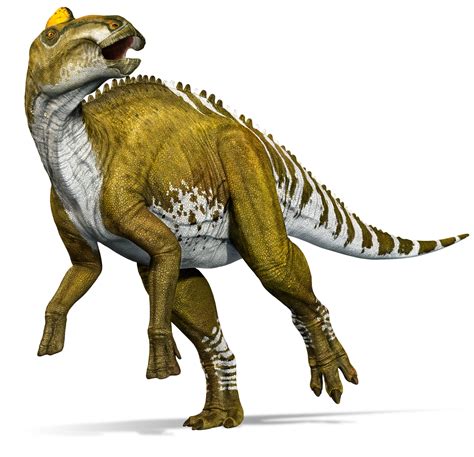 Edmontosaurus Dinopedia Fandom Powered By Wikia