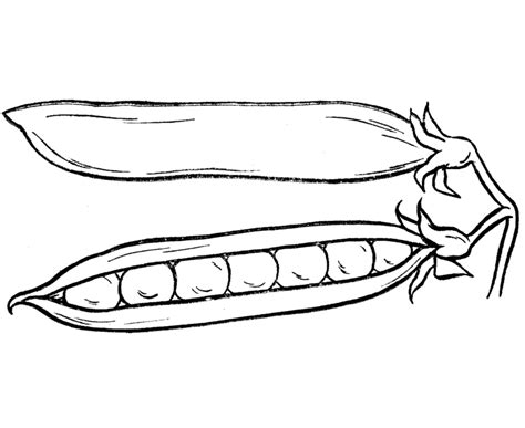 Peas Coloring Pages To Girls | Team colors