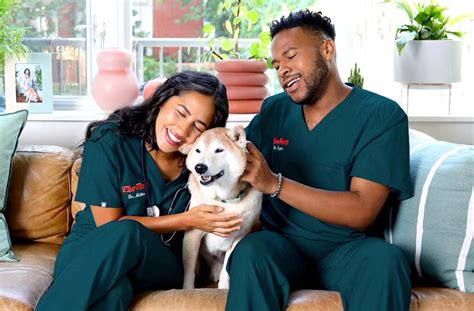 The Vet Who Comes To You Mobile Vet Chattanooga Your Pets Personal Butler