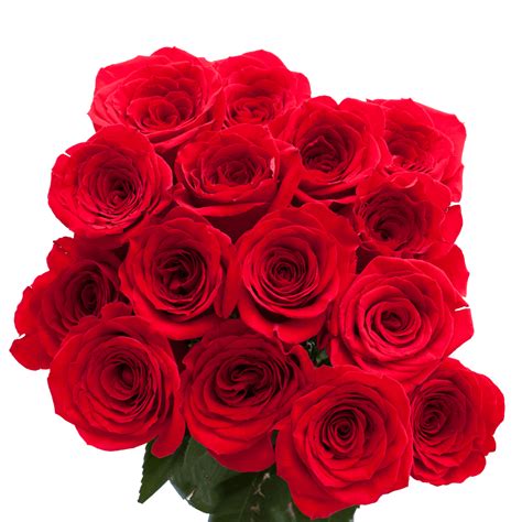 Valentines Day Red Rose Globalrose