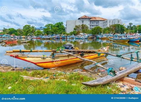 Traditional Catamarans Mooring At The Shore Of Negombo Lagoon In