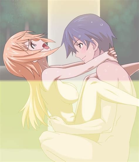 Charlotte Dunois And Orimura Ichika Infinite Stratos Danbooru