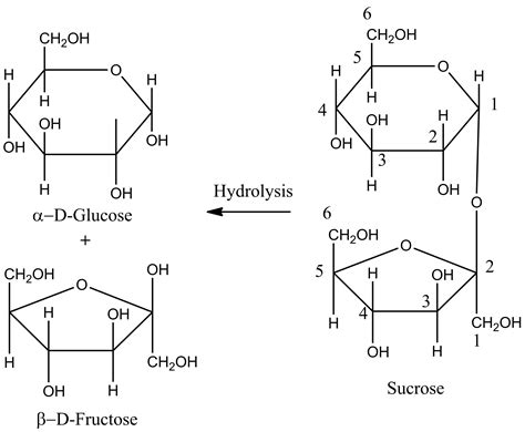 Hydrolysis Of Sucrose Gives