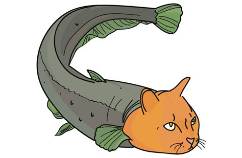 Cartoon Catfish Pictures