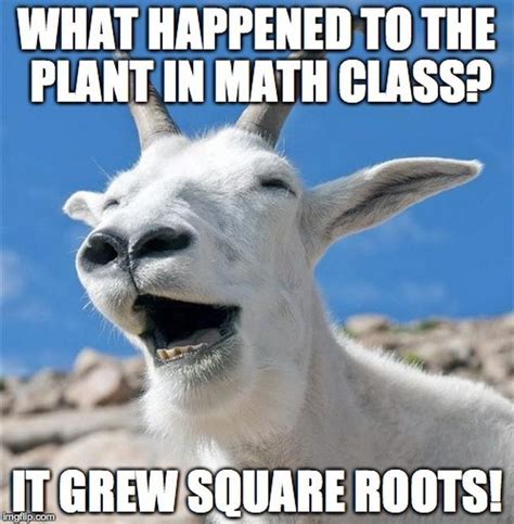 10 Memes Only A Mathematician Should Get But You Might Too
