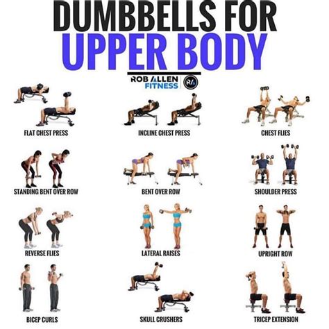 Which Ones Do You Do Here Is A Collection Of Upper Body Exercises