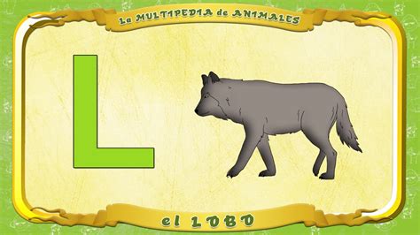 La Multipedia De Animales Letra L El Lobo смотреть онлайн бесплатно