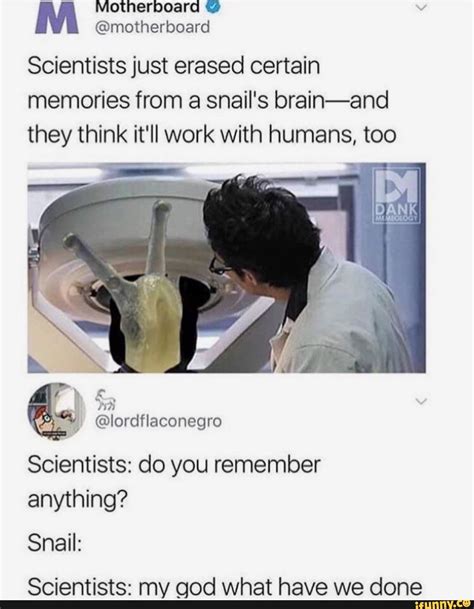 Scientists Just Erased Certain Memories From A Snails Brain And They