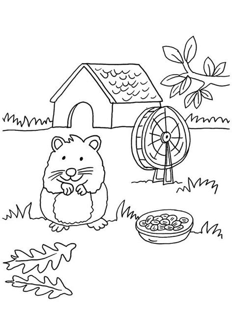 Meerschweinchen ausmalbilder malvorlagen guinea pig coloring pages to and print for free. Ausmalbild Meerschweinchen: Meerschweinchen und Herzen ...