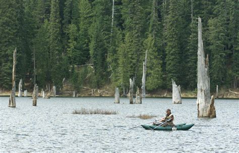 Goose Lake Open Now In Ford Pinchot National Forest The Columbian