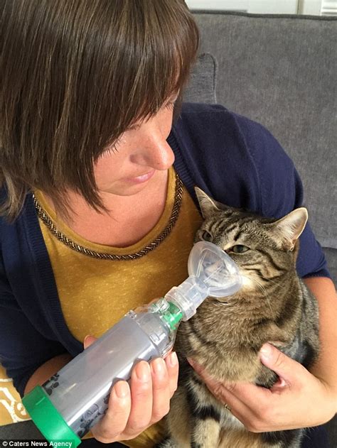 Durham Owner Gives Her Cat An Inhaler After She Was Diagnosed With