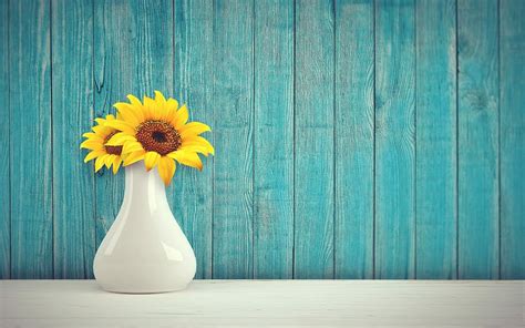 Hd Wallpaper Two Yellow Sunflowers In White Ceramic Vase Sun Flower