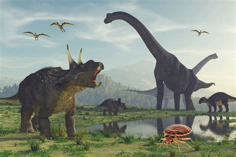 Bedbugs Roamed The Earth With Dinosaurs 100 Million Years Ago