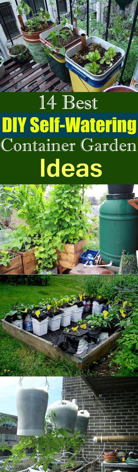 We did not find results for: 14 Best DIY Self-Watering Container Garden Ideas | Balcony Garden Web
