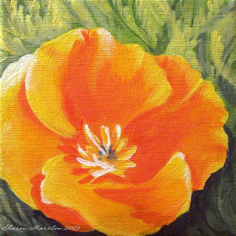 California Poppy Painting By Sharon Marcella Marston
