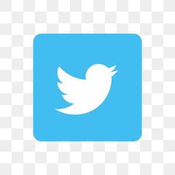Pin amazing png images that you like. twitter icons,twitter logo,twitter vector,twitter icon ...