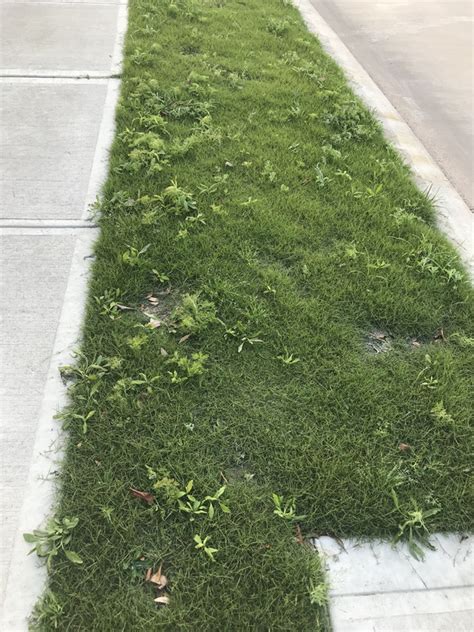 Welcome to scotts turf and pest services facebook page. Surge Weed Control Label - Pensandpieces