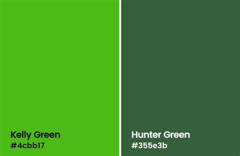 Kelly Green Color Codes The Hex Rgb And Cmyk Values That You Need