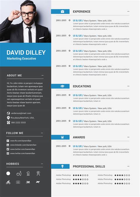 Cv Template For Ms Word Curriculum Vitae Professional
