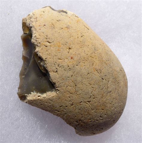 Rare Oldowan Pebble Scraper Tool From Englands Famous Happisburgh