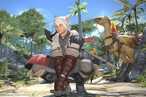 Where To Unlock My Little Chocobo In Final Fantasy Xiv Codewithmike