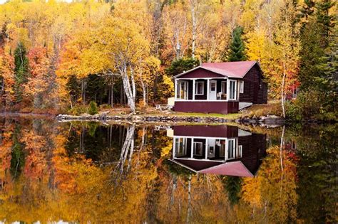 Cabin On The Lake Lake Cabins Cabin Autumn Forest