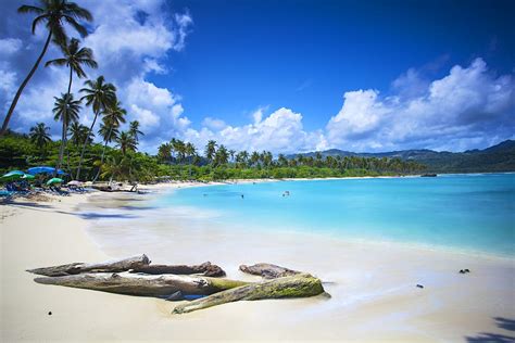 Best Hotels And Hostels In Las Galeras Dominican Republic Lonely Planet