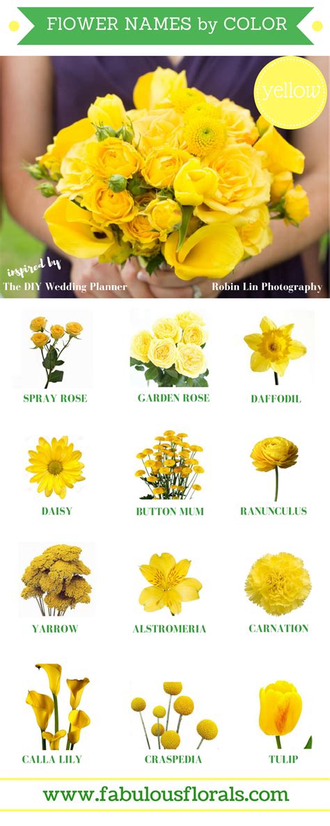 Types Of Yellow Flowers And Their Names Larissa
