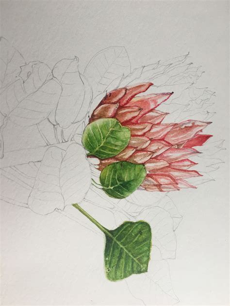 Doodlewash® Watercolor Botanical Painting Tutorial