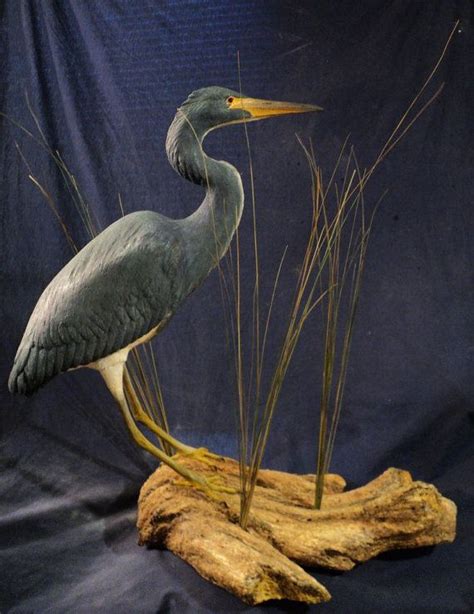 About the same size, but considerably bulkier, than a great blue heron. Blue Heron, egret or crane wildlife bird art sculpture | Blue heron, Heron, Birds