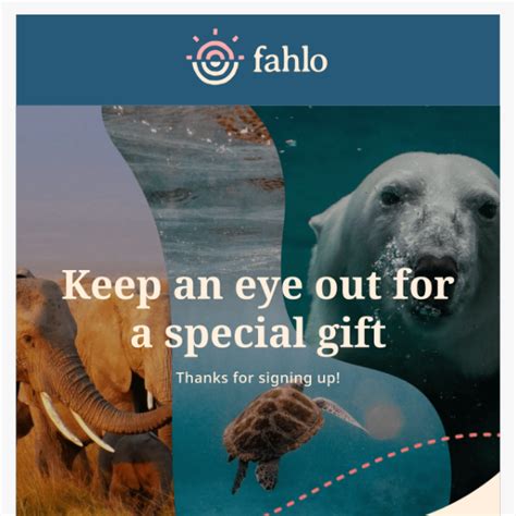 Celebrate Your Fahlo Birthday Wildlife Collections