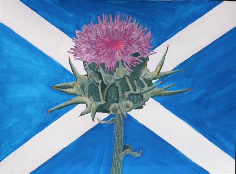 Thistle With Scottish Flag Flickr Photo Sharing