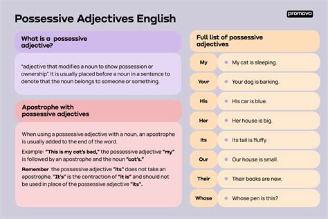 Possessive Adjectives In English Promova Grammar