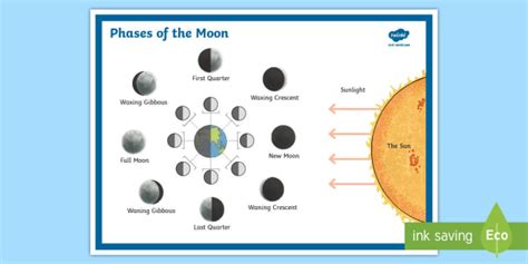 Phases Of The Moon Display Poster Display Posters Phases Of