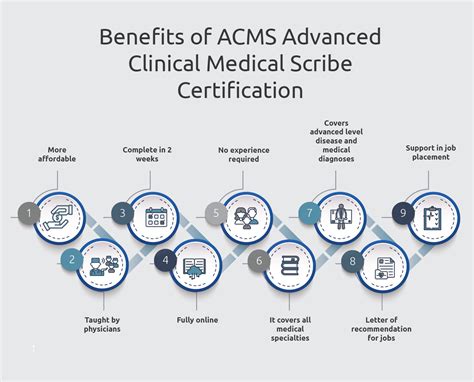 What Do Medical Scribes Do — Medical Scribe